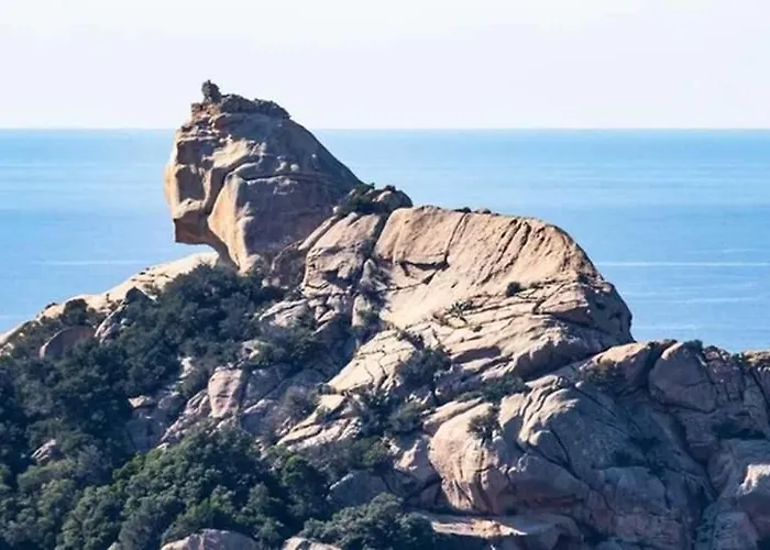 U Caseddu Di Minnana *