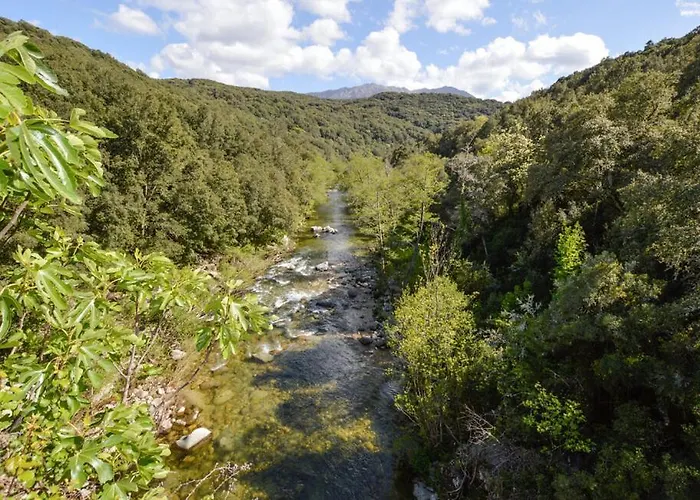 Appartement U Caseddu Di Minnana *